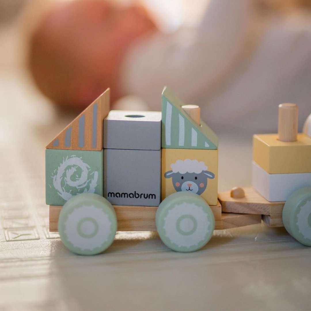 Leseni vlak z bloki za dečka - Kmetija