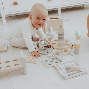 Montessori izobraževalna škatla za majhne otroke - 6 igrač