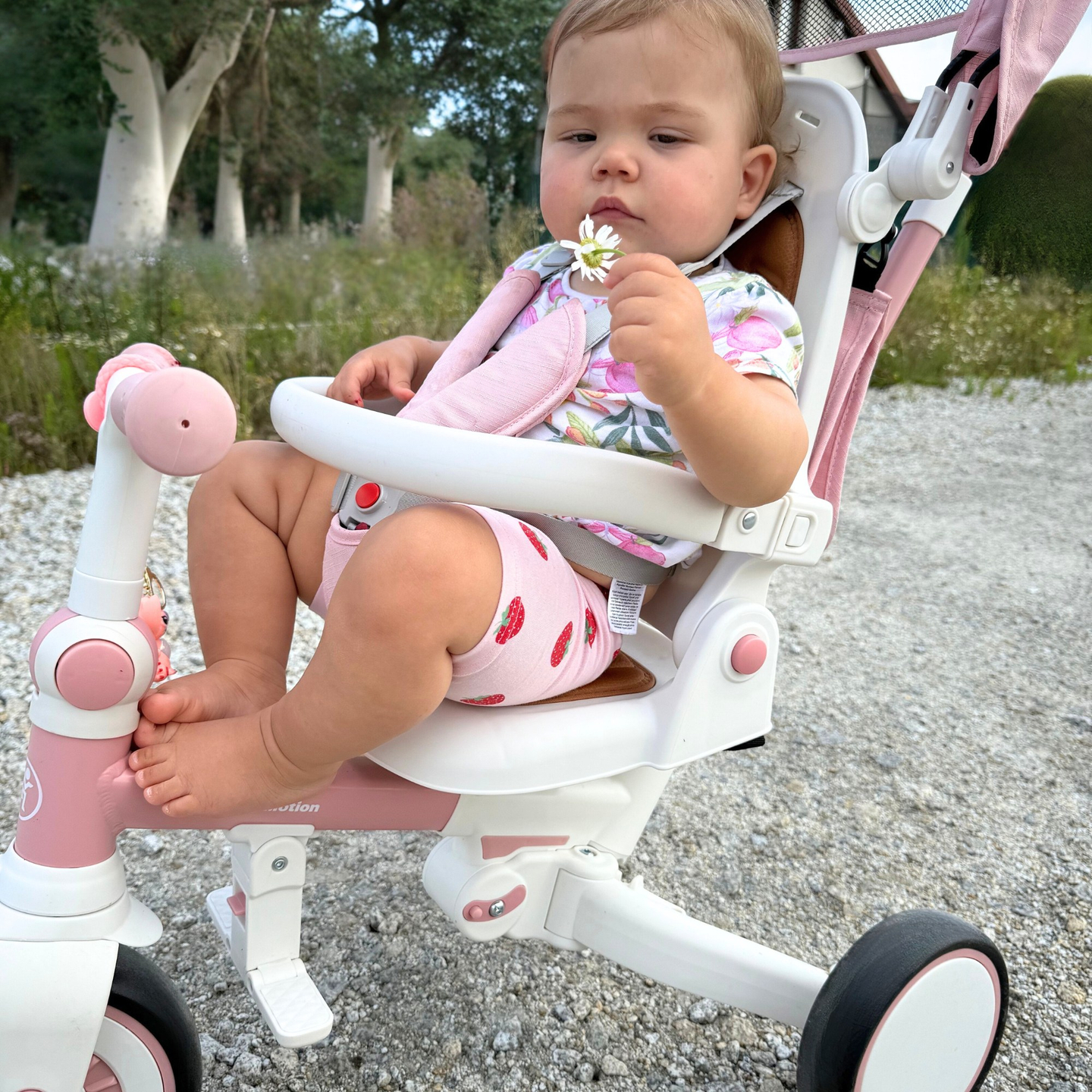 Večnamenski tricikel 8v1 TOBI FOREST - roza