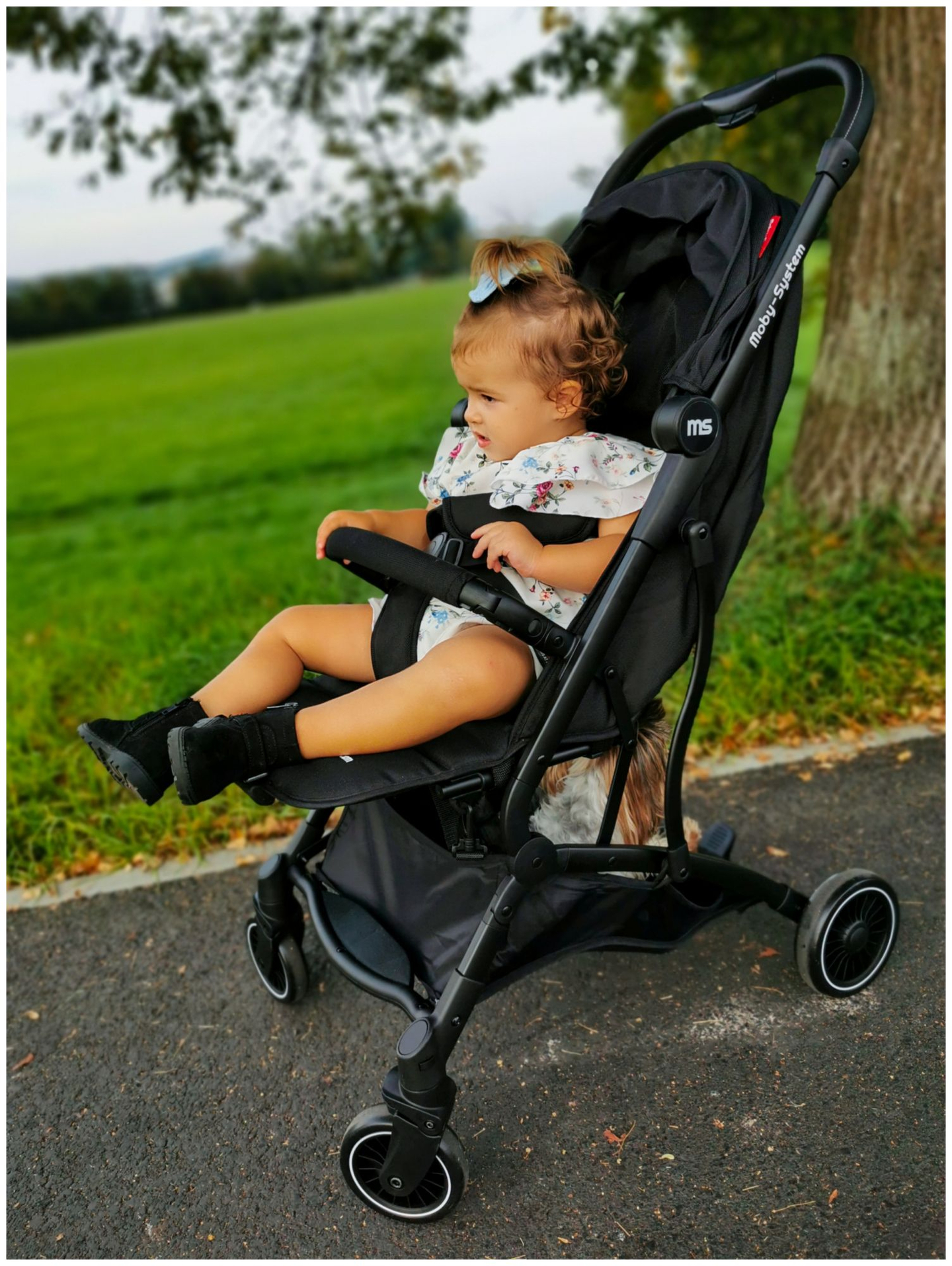 Otroški voziček Moby-System LENA
