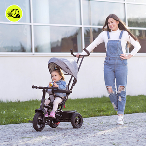 Tricikel za otroke od 1 do 4 let - TOBI FREY - siva barva - vrtljiv - kolesa s črpalko + tlačilka