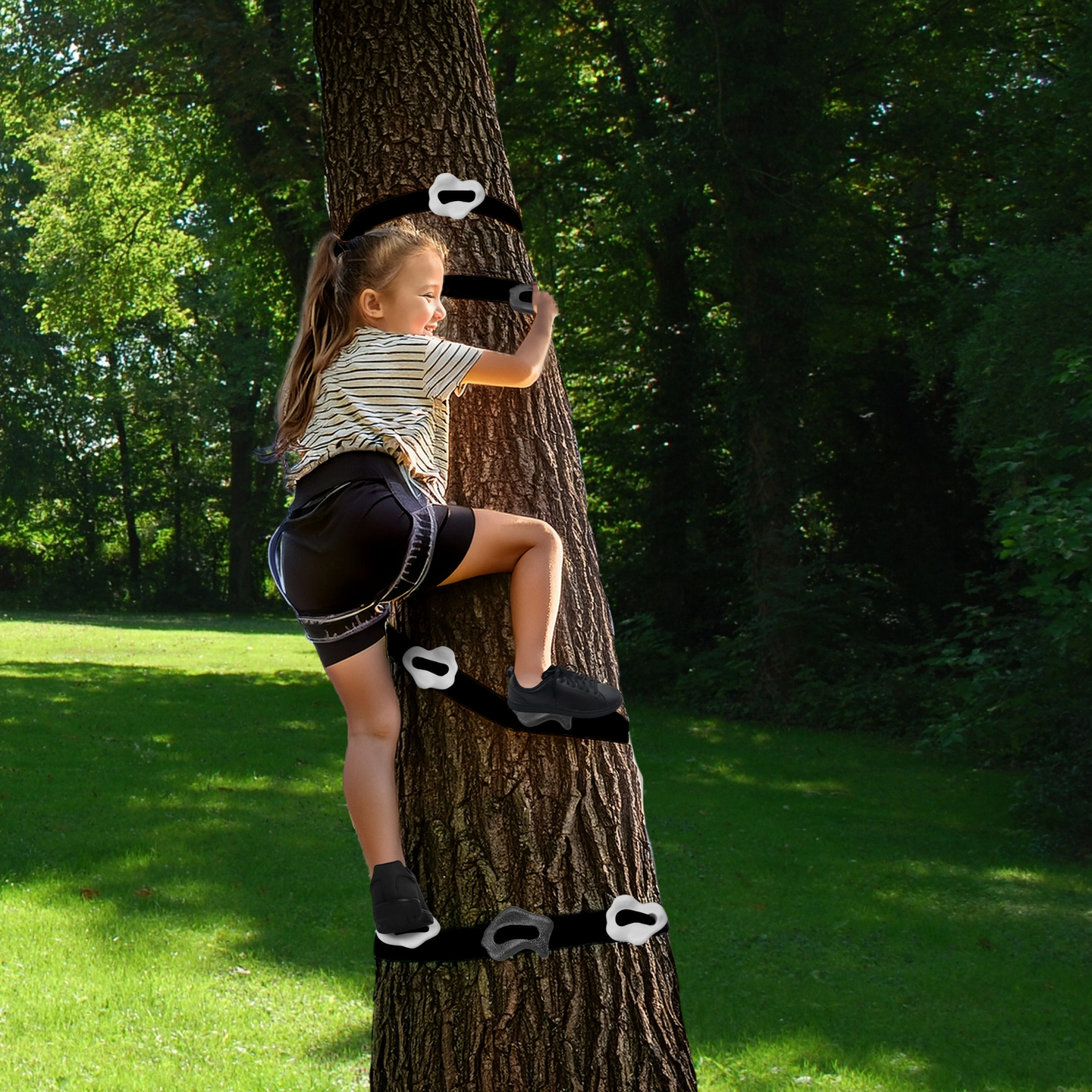 Komplet za plezanje po drevesih HyperMotion - 18 izdelkov